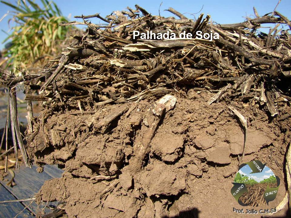 Estrutura do solo